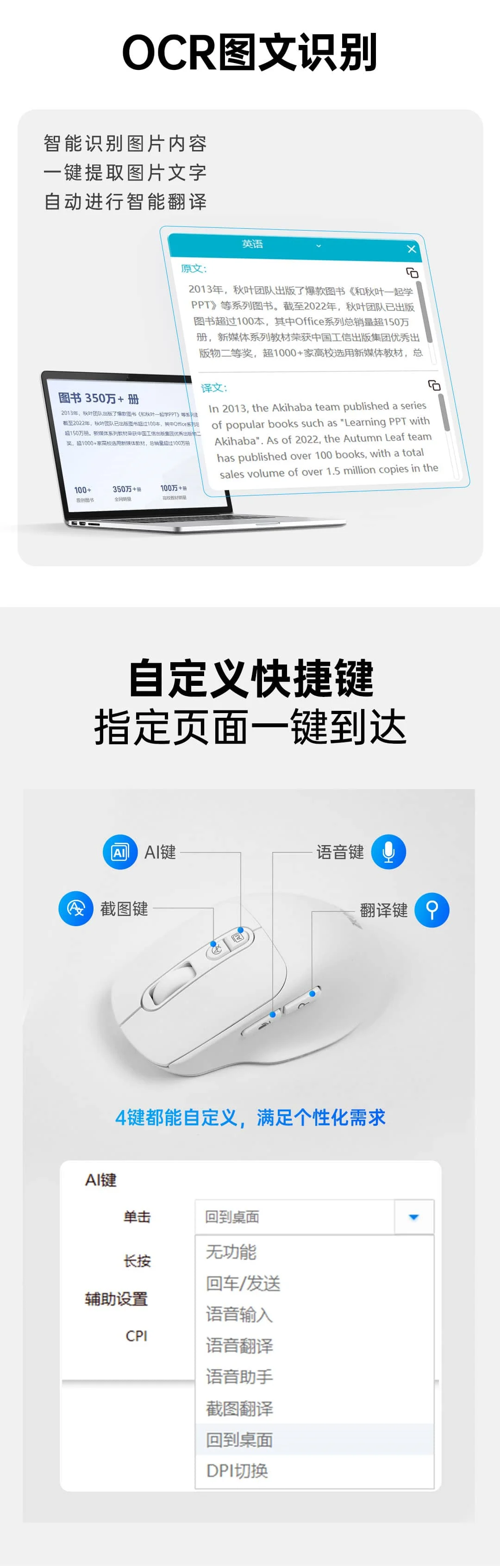 8.webp